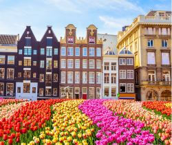 Amsterdam: Guided tours