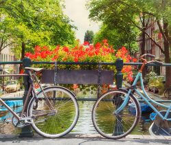 Amsterdam: Bike tour