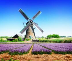 Amsterdam Windmills