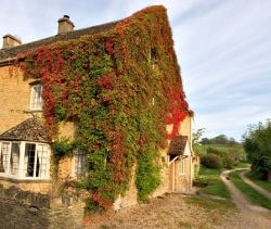 Cotswolds: STONE & NATURE