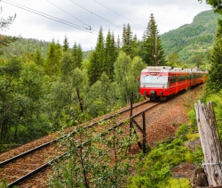 Bergen: Scenic train ride