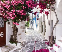 Paros town Greece