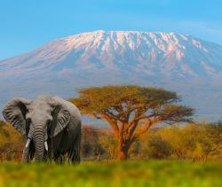 Kilimanjaro: Flight